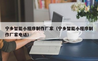 淇县宁乡智能小程序制作厂家（宁乡智能小程序制作厂家电话）
